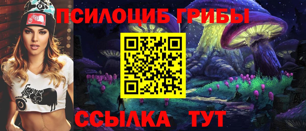Галлюциногенные грибы Magic Shrooms  Галлюциногенные грибы Psilocybe  где можно купить   Кропоткин  Вход с VPN 