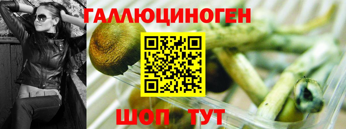 Галлюциногенные грибы GOLDEN TEACHER Кропоткин